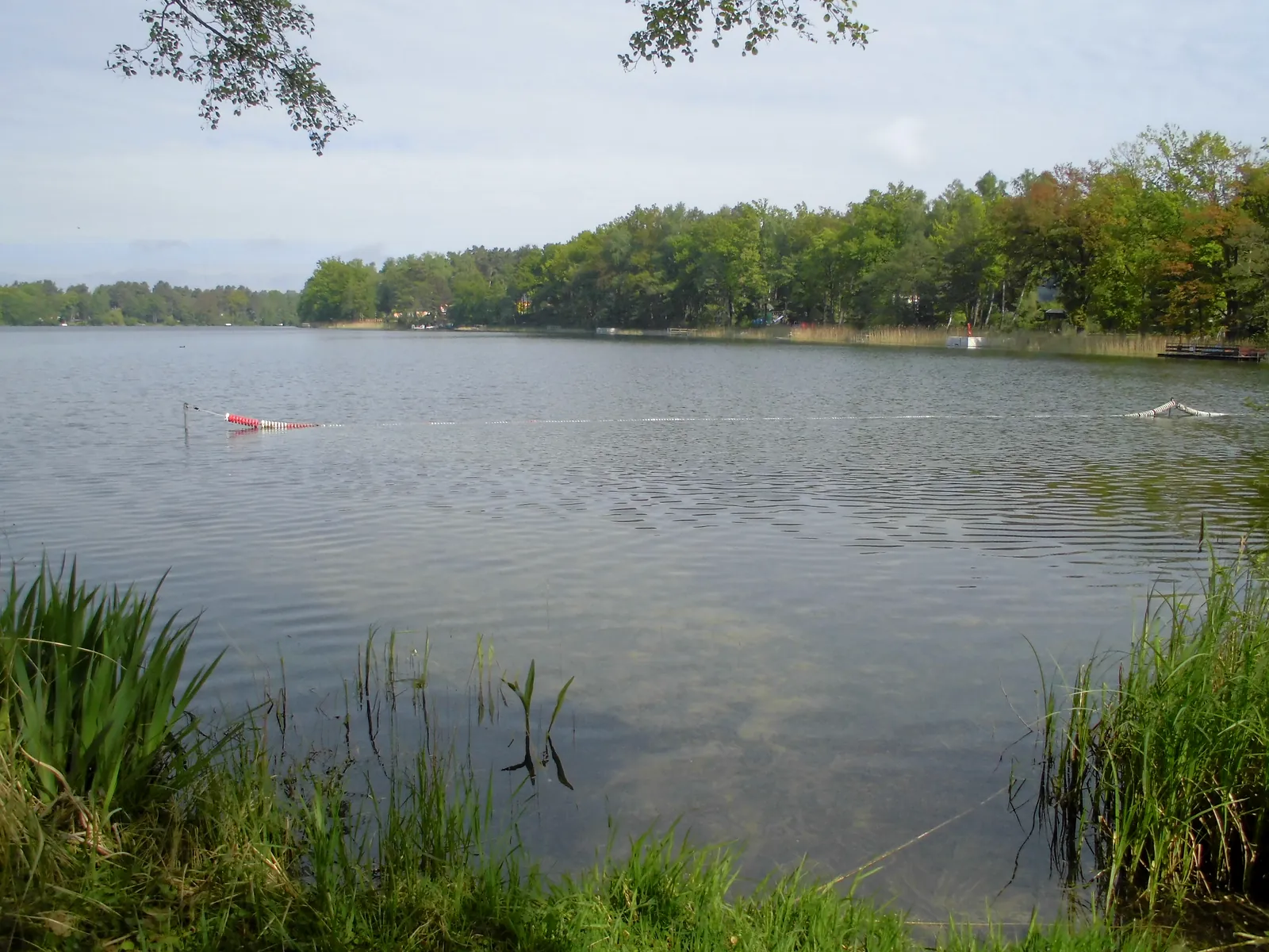 Blick über den Wandlitzer See auf das bewaldete Ufer